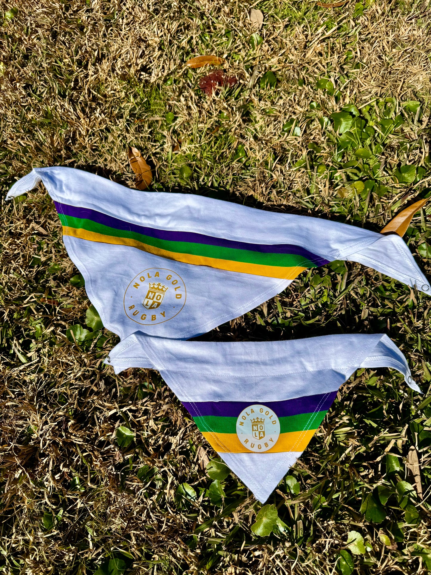 Mardi Gras Dog Bandana